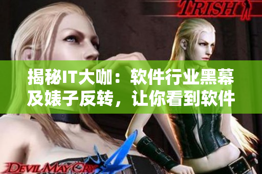 揭秘IT大咖:软件行业黑幕及婊子反转,让你看到软件圈的另一面 揭秘IT大咖:软件行业黑幕及婊子反转,让你看到软件圈的另一面