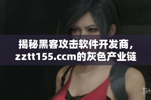 揭秘黑客攻击软件开发商,zztt155.ccm的灰色产业链 揭秘黑客攻击软件开发商,zztt155.ccm的灰色产业链