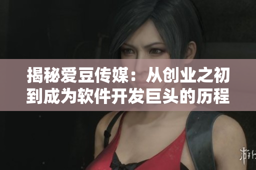 揭秘爱豆传媒：从创业之初到成为软件开发巨头的历程