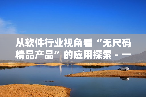 从软件行业视角看“无尺码精品产品”的应用探索 - 一篇软文推荐