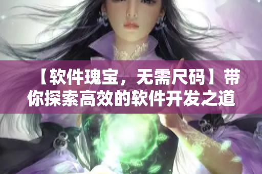 【软件瑰宝，无需尺码】带你探索高效的软件开发之道！