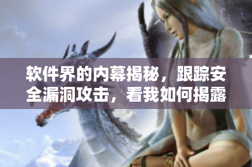 软件界的内幕揭秘，跟踪安全漏洞攻击，看我如何揭露黑客的黑料合集！