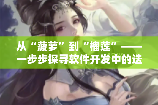 从“菠萝”到“榴莲”——一步步探寻软件开发中的迭代与优化 从“菠萝”到“榴莲”——一步步探寻软件开发中的迭代与优化