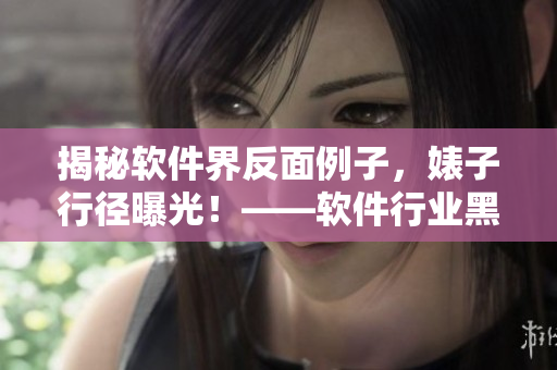 揭秘软件界反面例子,婊子行径曝光!——软件行业黑料揭示 揭秘软件界反面例子,婊子行径曝光!——软件行业黑料揭示