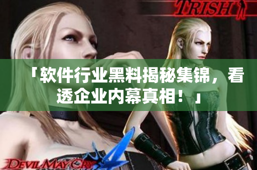 「软件行业黑料揭秘集锦,看透企业内幕真相!」 「软件行业黑料揭秘集锦,看透企业内幕真相!」