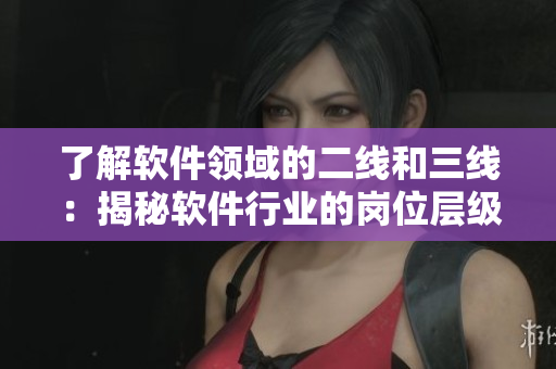 了解软件领域的二线和三线:揭秘软件行业的岗位层级 了解软件领域的二线和三线:揭秘软件行业的岗位层级