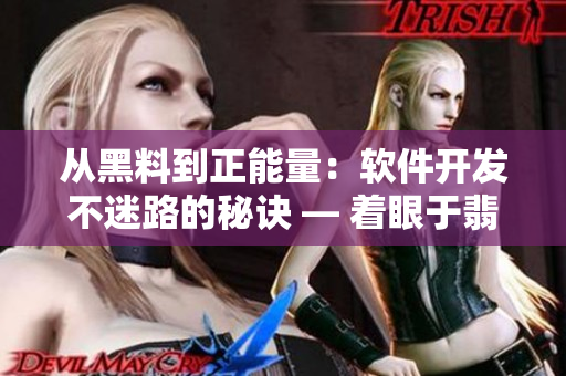 从黑料到正能量：软件开发不迷路的秘诀 — 着眼于翡翠手镯