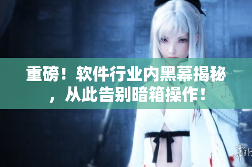 重磅!软件行业内黑幕揭秘,从此告别暗箱操作! 重磅!软件行业内黑幕揭秘,从此告别暗箱操作!