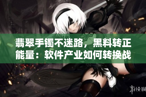 翡翠手镯不迷路，黑料转正能量：软件产业如何转换战略？