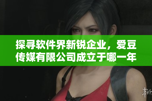 探寻软件界新锐企业，爱豆传媒有限公司成立于哪一年？
