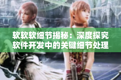 软软软细节揭秘：深度探究软件开发中的关键细节处理技巧