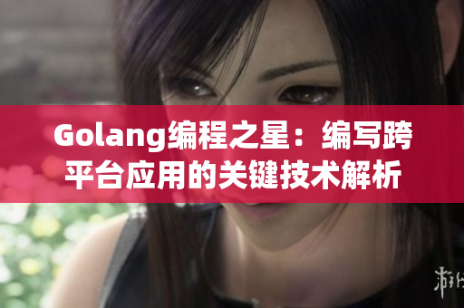 Golang编程之星：编写跨平台应用的关键技术解析