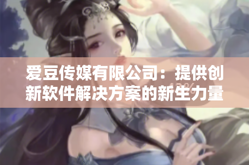 爱豆传媒有限公司：提供创新软件解决方案的新生力量