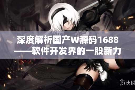 深度解析国产W源码1688——软件开发界的一股新力量
