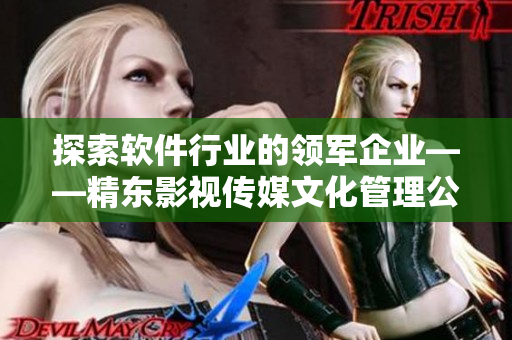 探索软件行业的领军企业——精东影视传媒文化管理公司