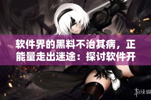 软件界的黑料不治其病,正能量走出迷途:探讨软件开发中的知识产权问题 软件界的黑料不治其病,正能量走出迷途:探讨软件开发中的知识产权问题