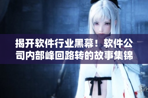 揭开软件行业黑幕！软件公司内部峰回路转的故事集锦，绝不可错过！