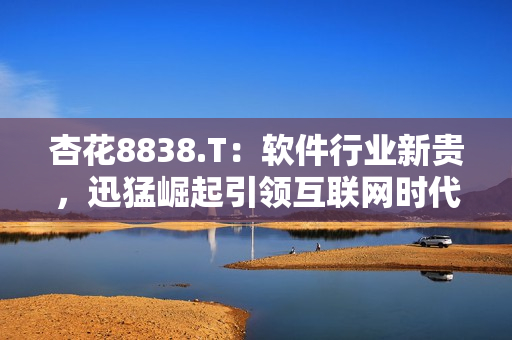 杏花8838.T:软件行业新贵,迅猛崛起引领互联网时代 杏花8838.T:软件行业新贵,迅猛崛起引领互联网时代