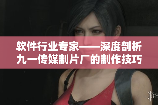 软件行业专家——深度剖析九一传媒制片厂的制作技巧