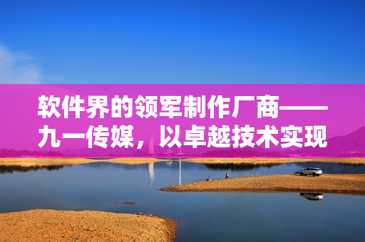 软件界的领军制作厂商——九一传媒，以卓越技术实现软件产业进步