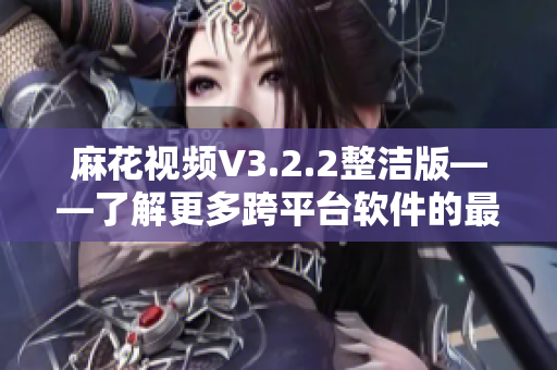 麻花视频V3.2.2整洁版——了解更多跨平台软件的最佳解决方案
