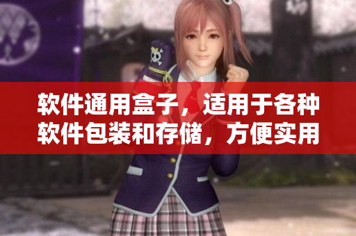 软件通用盒子，适用于各种软件包装和存储，方便实用。