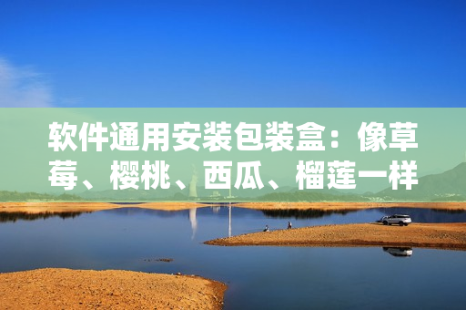软件通用安装包装盒：像草莓、樱桃、西瓜、榴莲一样易于打包存储和传输