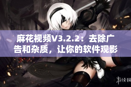 麻花视频V3.2.2：去除广告和杂质，让你的软件观影体验更纯净