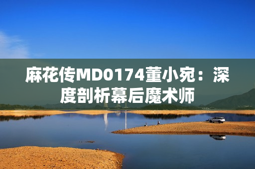 麻花传MD0174董小宛：深度剖析幕后魔术师
