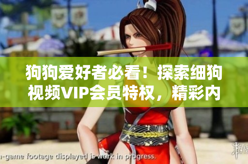 狗狗爱好者必看！探索细狗视频VIP会员特权，精彩内容尽在其中
