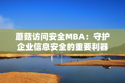 蘑菇访问安全MBA：守护企业信息安全的重要利器