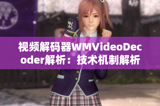 视频解码器WMVideoDecoder解析：技术机制解析