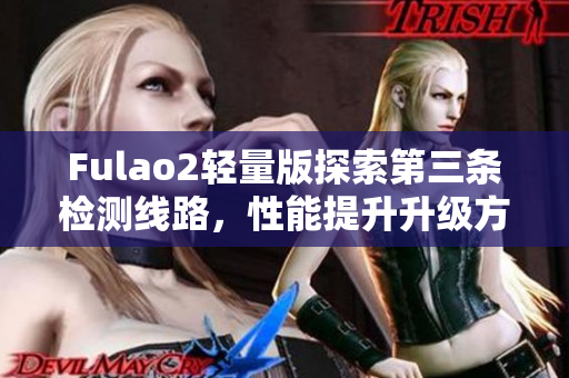 Fulao2轻量版探索第三条检测线路，性能提升升级方案