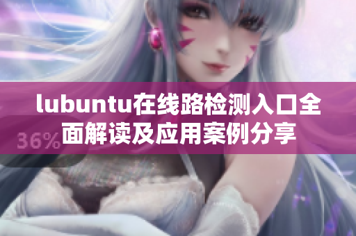 lubuntu在线路检测入口全面解读及应用案例分享