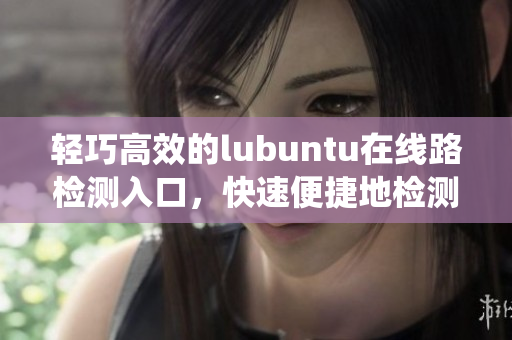 轻巧高效的lubuntu在线路检测入口，快速便捷地检测系统网络连接