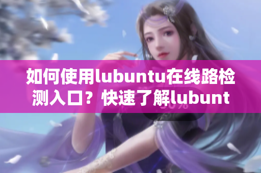 如何使用lubuntu在线路检测入口？快速了解lubuntu在线路检测入口操作步骤