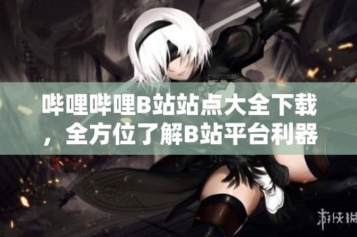 哔哩哔哩B站站点大全下载，全方位了解B站平台利器