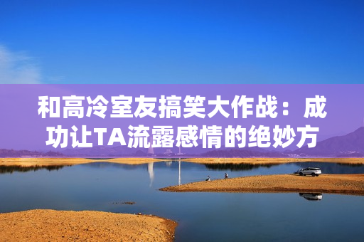 和高冷室友搞笑大作战：成功让TA流露感情的绝妙方法