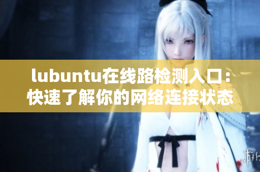 lubuntu在线路检测入口：快速了解你的网络连接状态
