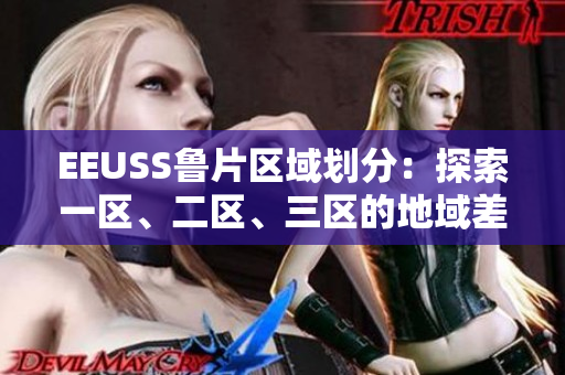 EEUSS鲁片区域划分：探索一区、二区、三区的地域差异及影响