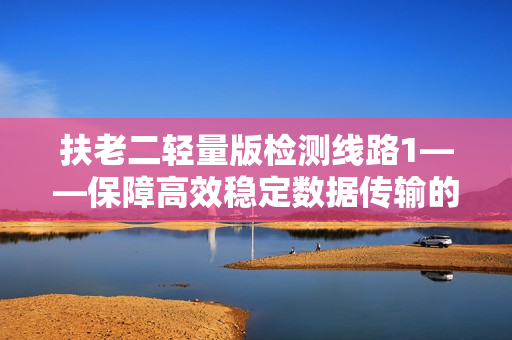 扶老二轻量版检测线路1——保障高效稳定数据传输的重要通道