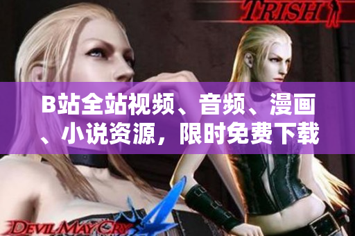 B站全站视频、音频、漫画、小说资源，限时免费下载，快速导航大全