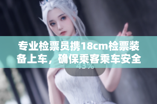 专业检票员携18cm检票装备上车，确保乘客乘车安全