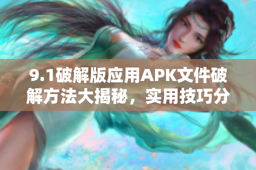 9.1破解版应用APK文件破解方法大揭秘，实用技巧分享