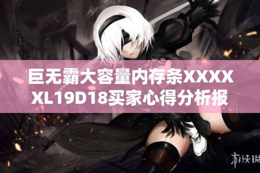 巨无霸大容量内存条XXXXXL19D18买家心得分析报道