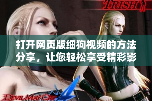 打开网页版细狗视频的方法分享，让您轻松享受精彩影视内容