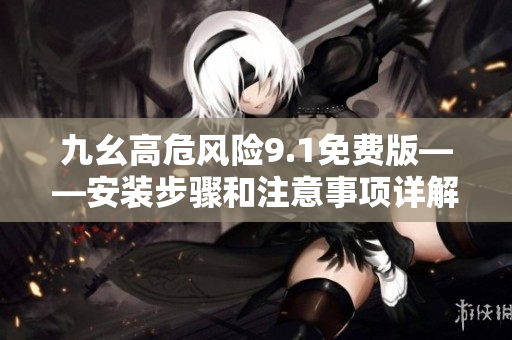 九幺高危风险9.1免费版——安装步骤和注意事项详解