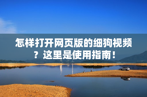 怎样打开网页版的细狗视频？这里是使用指南！