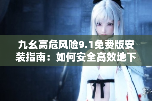 九幺高危风险9.1免费版安装指南：如何安全高效地下载和安装？