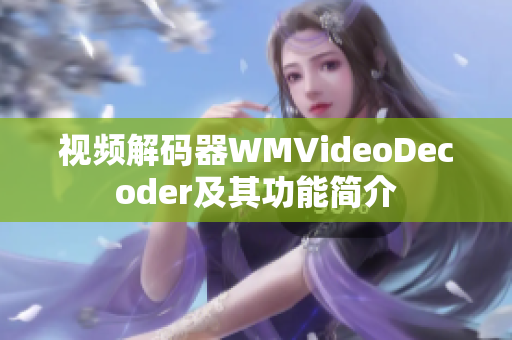 视频解码器WMVideoDecoder及其功能简介